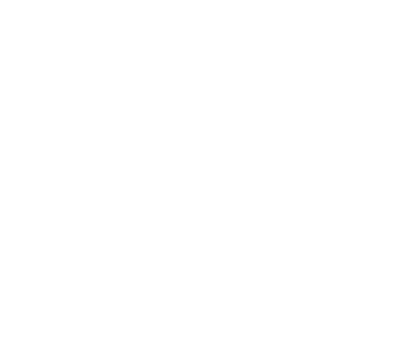 Carrier 2025 President's Award